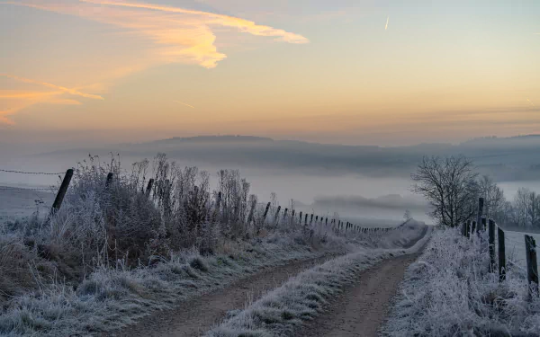  Morning frost by Woewwesch