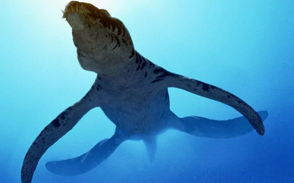 A striking HD desktop wallpaper featuring a prehistoric underwater creature, reminiscent of a dinosaur, gliding gracefully through a vibrant blue ocean backdrop.