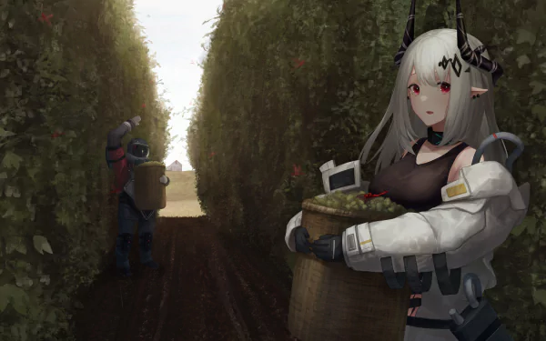 Mudrock (Arknights) video game Arknights HD Desktop Wallpaper | Background Image