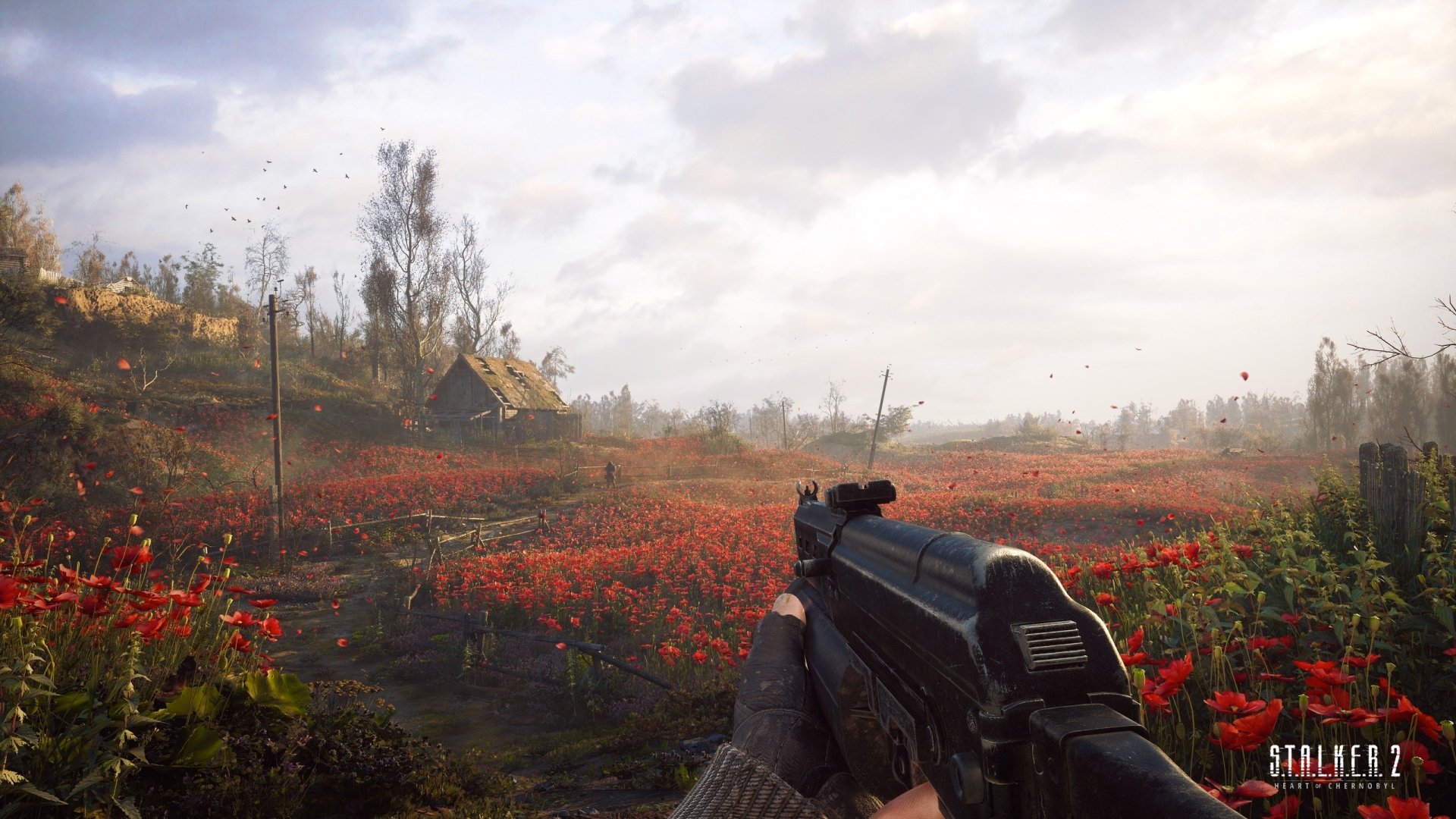 HD PC desktop wallpaper from the video game S.T.A.L.K.E.R. 2: Heart of Chernobyl, featuring a first-person view with a rifle overlooking a field of red flowers under a cloudy sky.