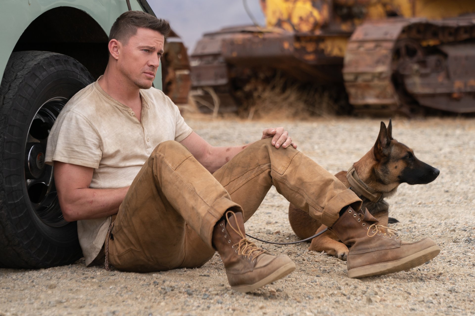 Download Channing Tatum Movie Dog 4k Ultra HD Wallpaper