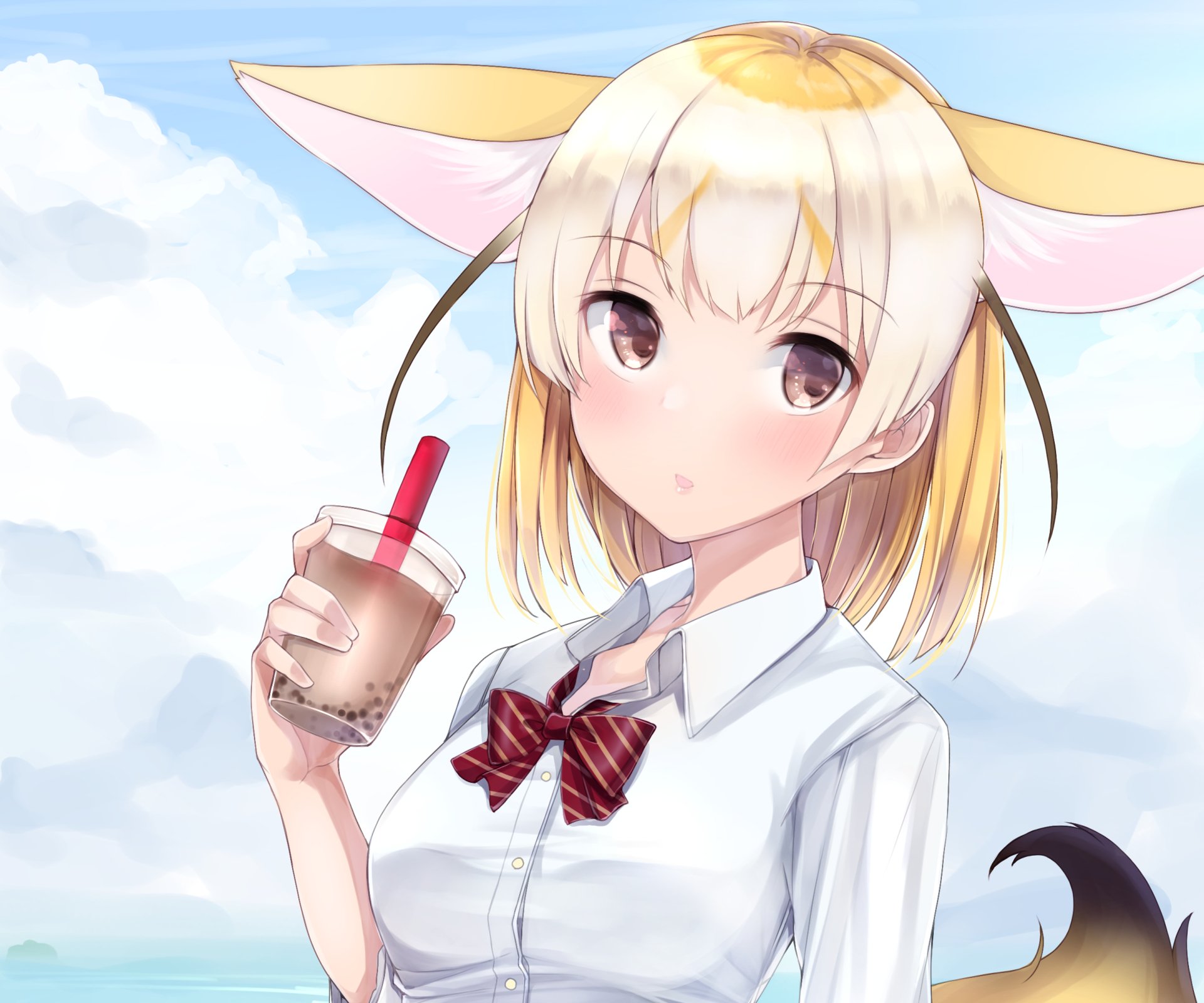 Download Fennec (Kemono Friends) Anime Kemono Friends HD Wallpaper