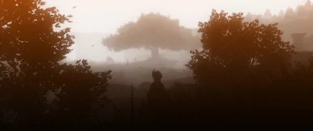 Silhouette of Venti (Genshin Impact) in a misty golden forest, atmospheric video game artwork rendered as a 2K Quad HD PC desktop wallpaper/background.