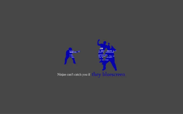 funny ninja HD Desktop Wallpaper | Background Image