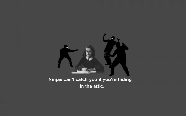 funny ninja HD Desktop Wallpaper | Background Image