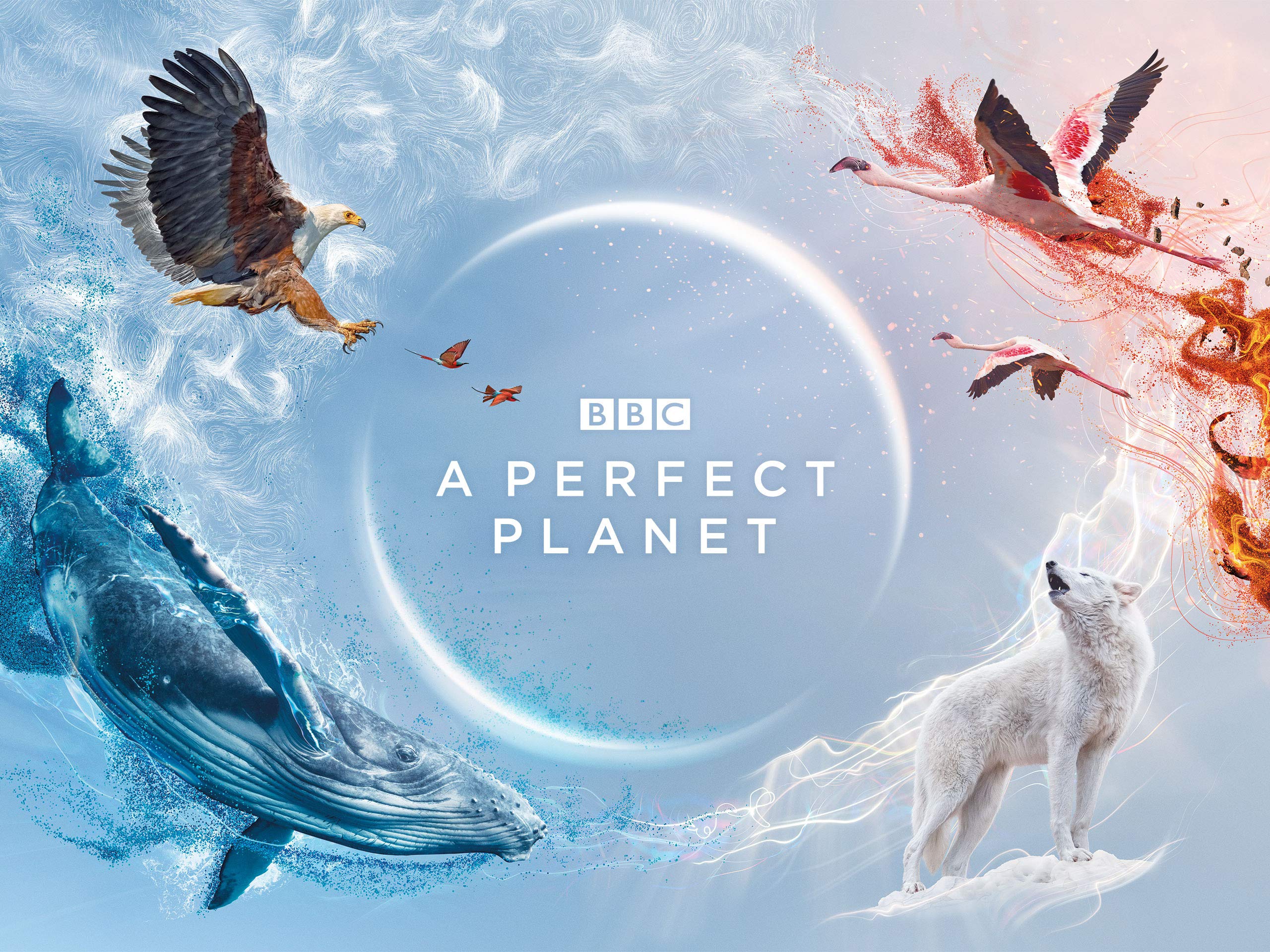 TV Show A Perfect Planet HD Wallpaper | Background Image