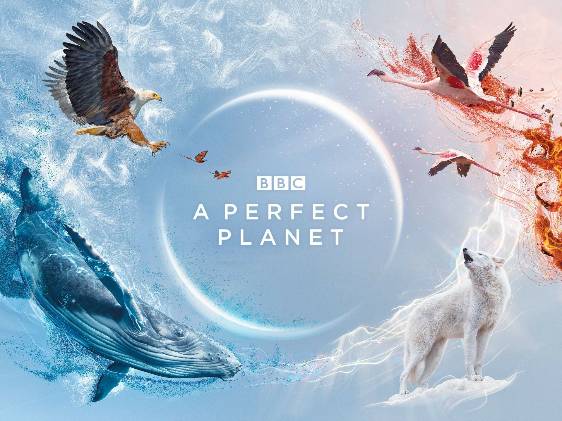 Download TV Show A Perfect Planet HD Wallpaper