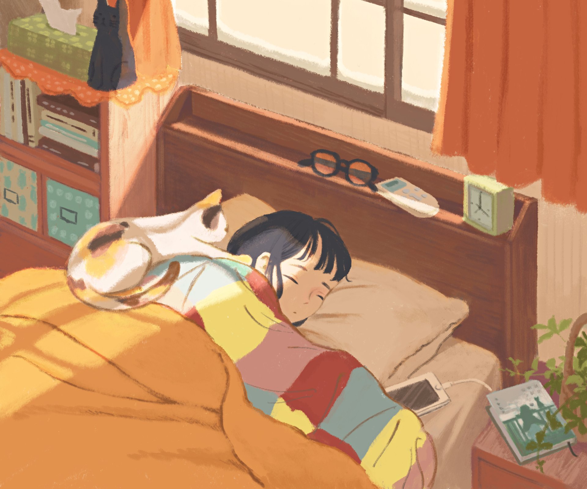 Download Cat Sleeping Anime Girl Anime Girl Anime Cat HD Wallpaper