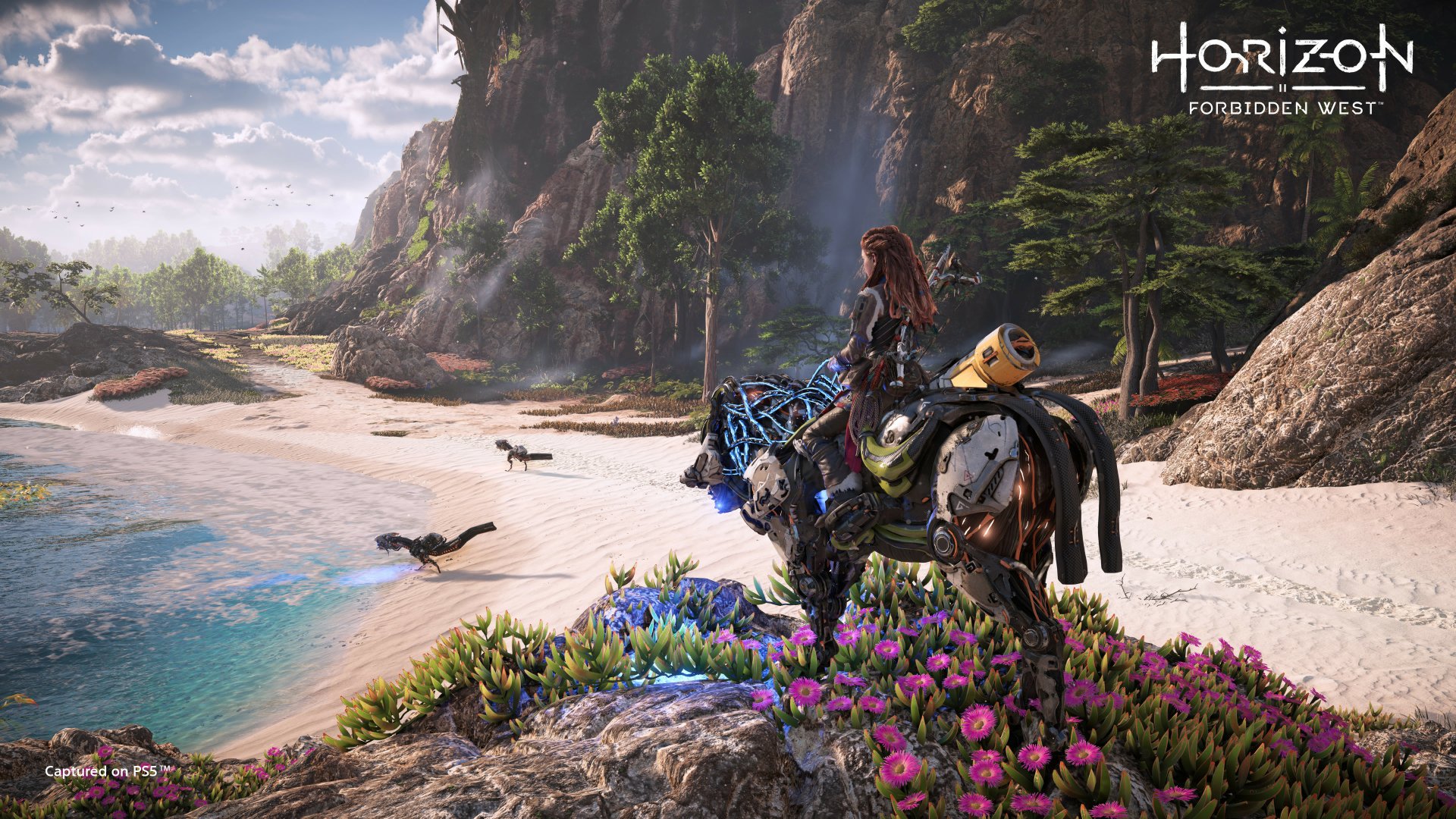 Aloy's Coastal Ride — Horizon Forbidden West (4K Ultra HD Wallpaper ...