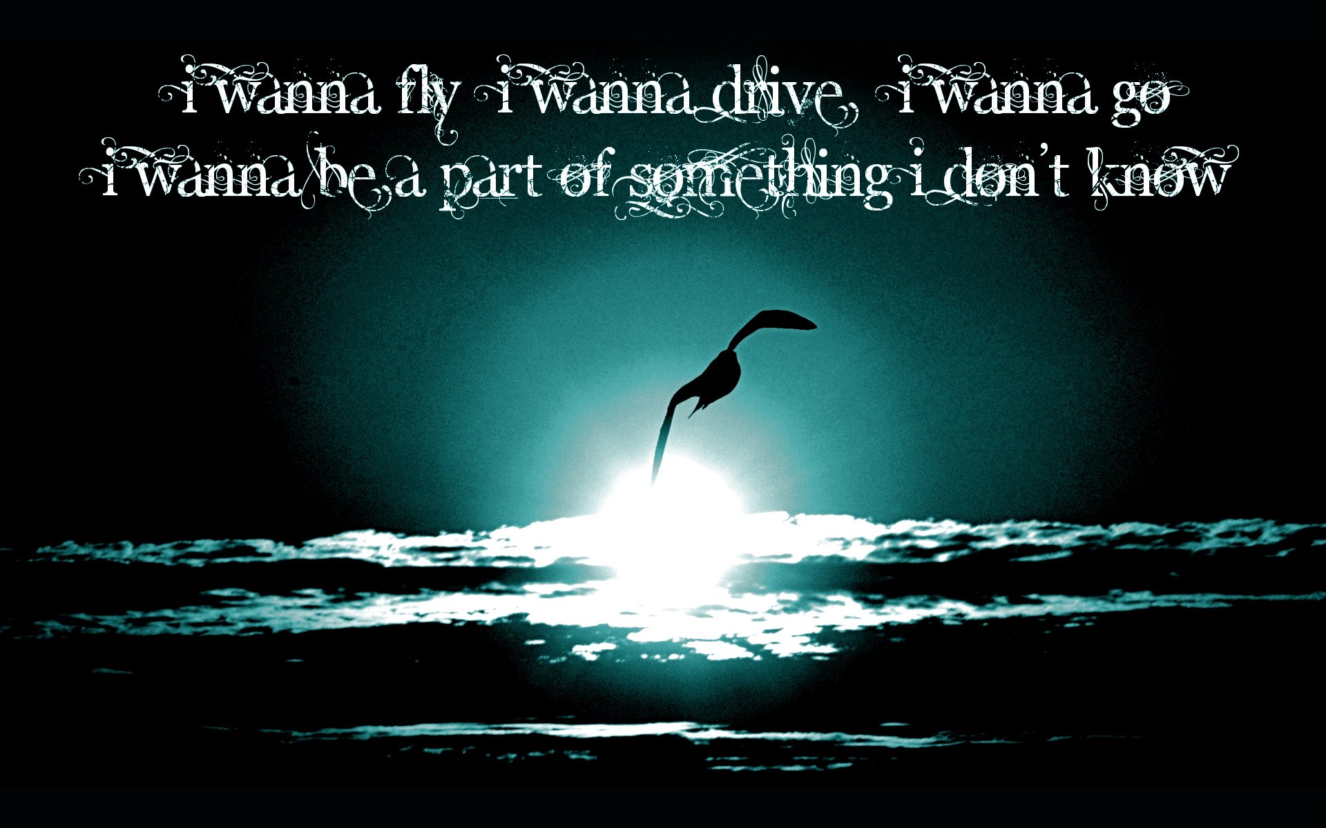 A motivational HD desktop wallpaper featuring a silhouette of a bird soaring above the water, with inspiring text about desire for freedom and exploration.