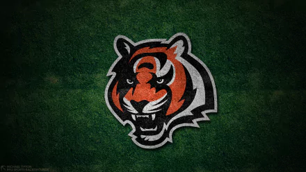 Cincinnati Bengals Sports HD Desktop Wallpaper | Background Image