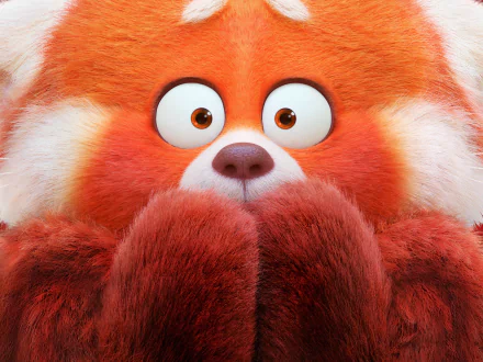 HD desktop wallpaper featuring a close-up of the red panda character from the movie Turning Red, showcasing vibrant fur and wide, expressive eyes.