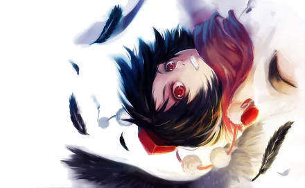 Aya Shameimaru Anime Touhou HD Desktop Wallpaper | Background Image