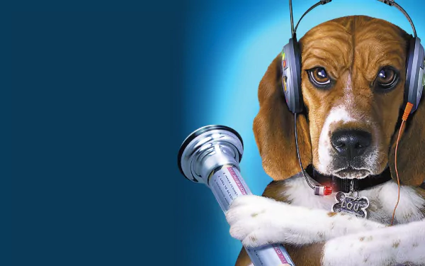 movie Cats & Dogs HD Desktop Wallpaper | Background Image