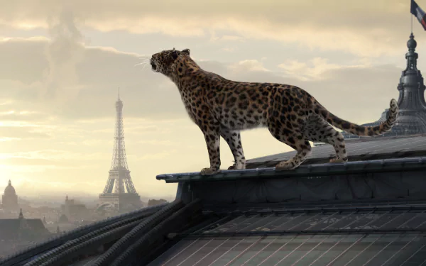 Paris Eiffel Tower Animal jaguar HD Desktop Wallpaper | Background Image