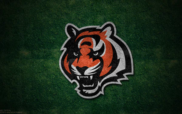 Cincinnati Bengals Sports HD Desktop Wallpaper | Background Image