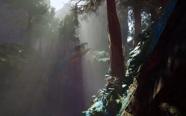  Gully of Ferns by Tyler Smith