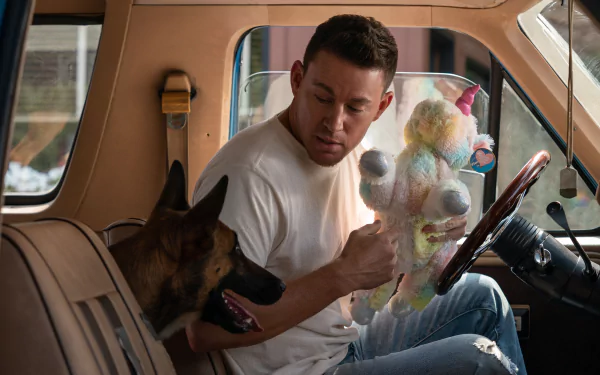 Channing Tatum movie dog HD Desktop Wallpaper | Background Image