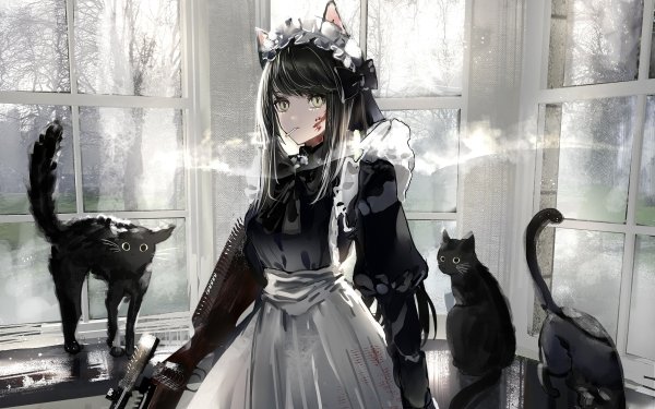 Anime Girl Maid Cat HD Wallpaper | Background Image