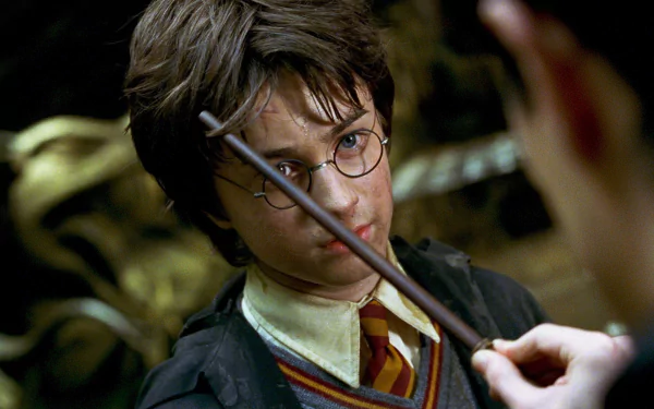  Confronting Tom Riddle