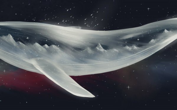 Fantasy Whale Fantasy Animals Stars HD Wallpaper | Background Image
