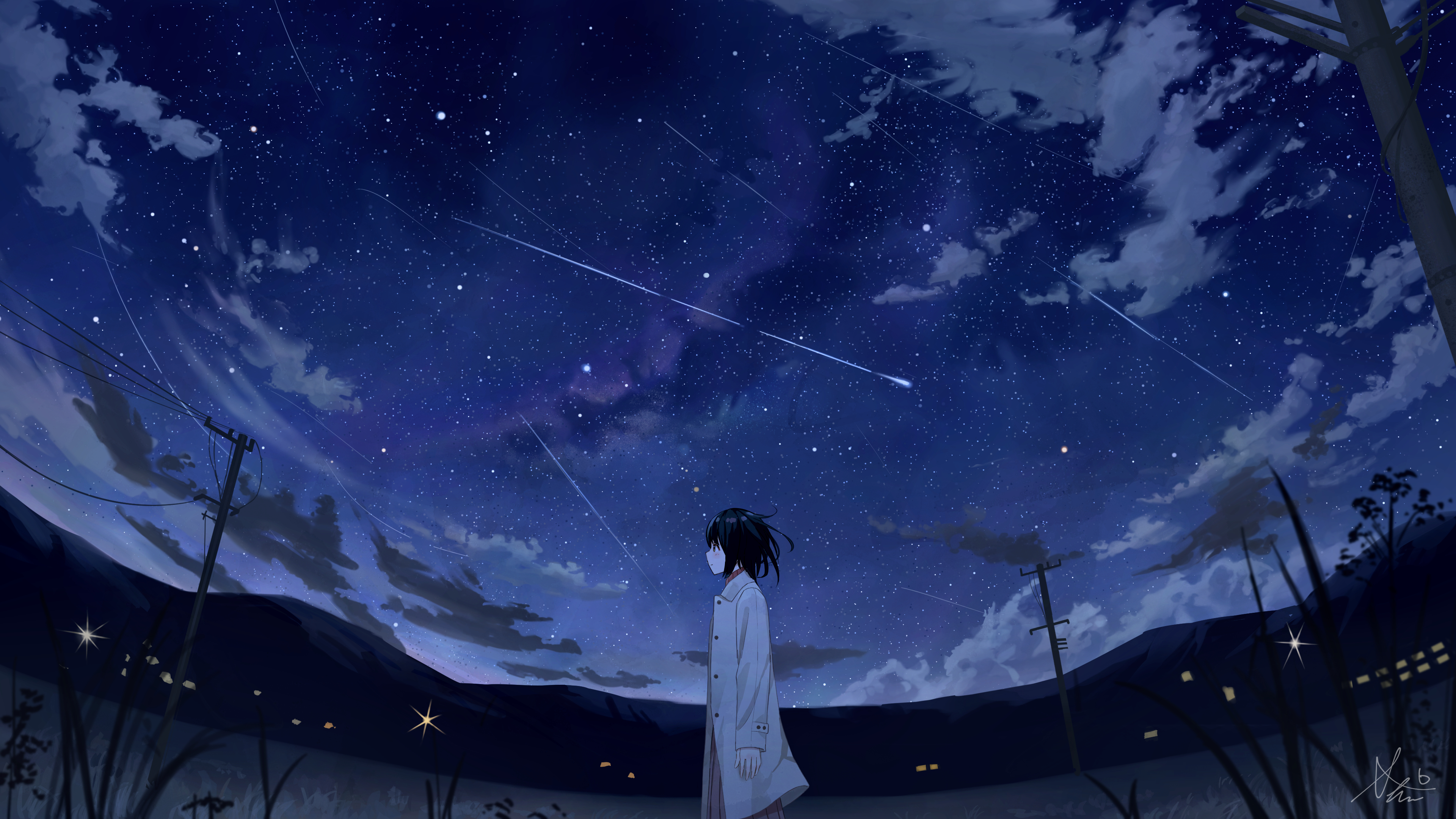 Stargazing Cat Starry Stars Night Sky Anime Art HD 4K Wallpaper 82915