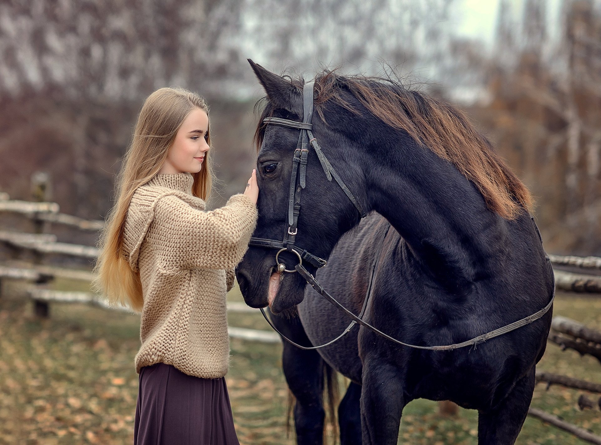 Download Horse Woman Mood HD Wallpaper by Victoria Dubrovskaya