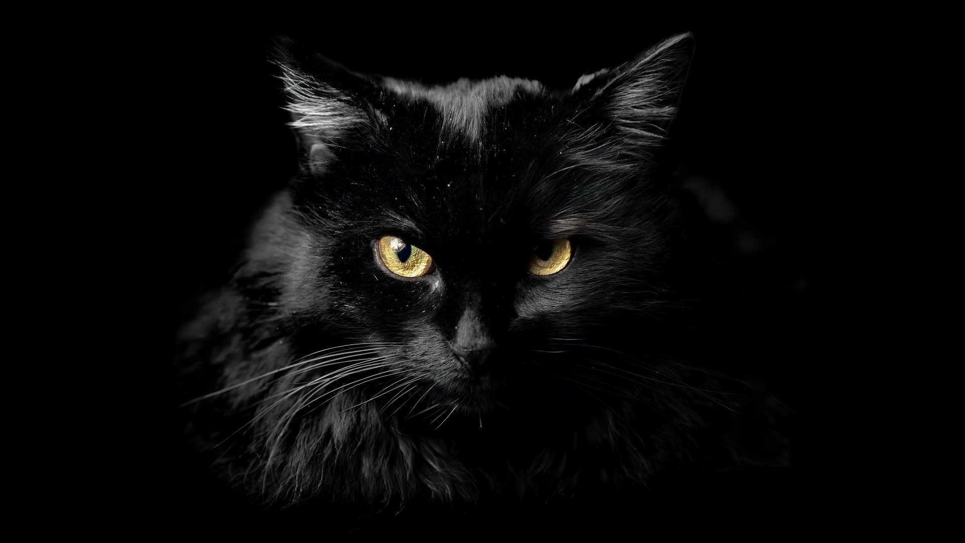 Close-up of a black cat with striking yellow eyes against a dark background, rendered in 4K Ultra HD for PC desktop wallpaper.
