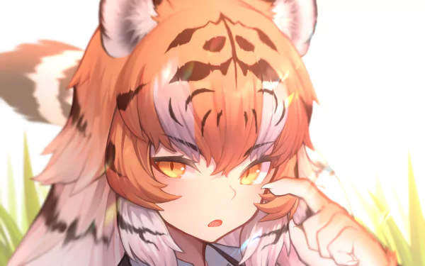 Kemono friends tiger