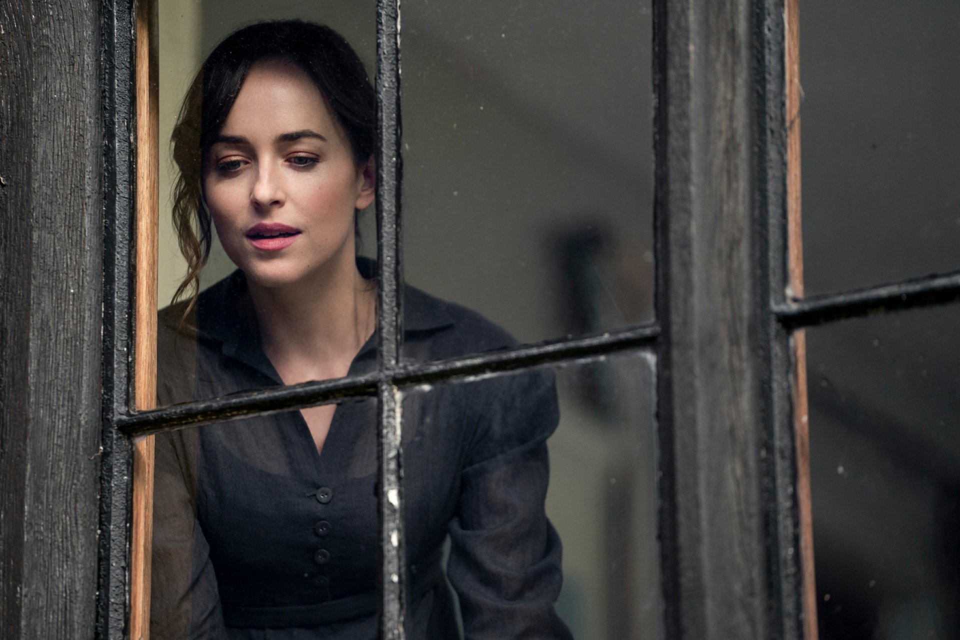 Download Dakota Johnson Movie Persuasion (2022) HD Wallpaper