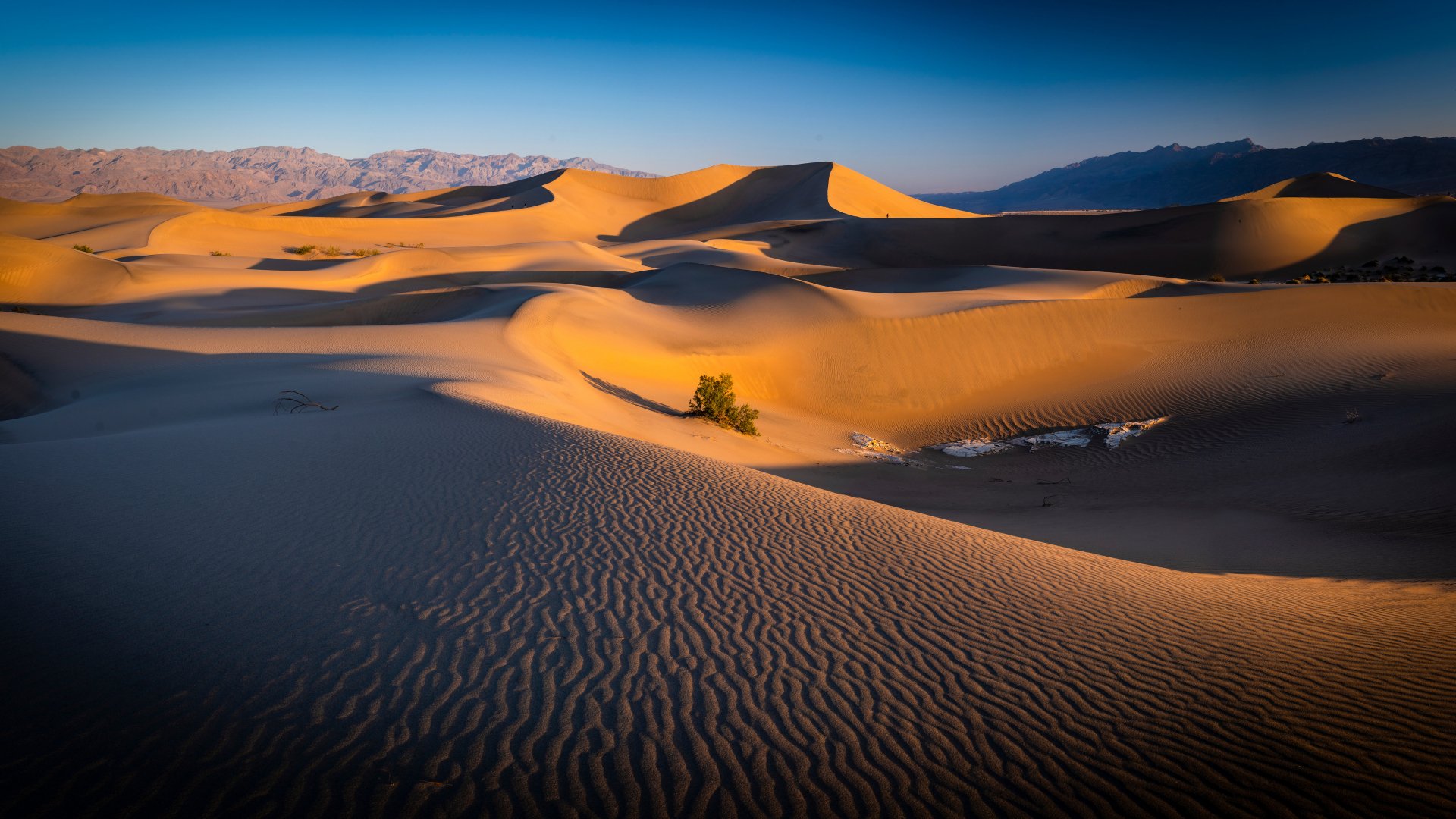 Download Sand Dune Sand Desert Nature Death Valley 4k Ultra HD Wallpaper