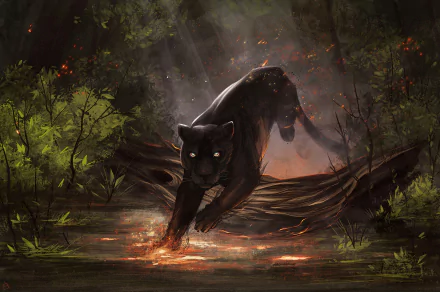 Animal black panther HD Desktop Wallpaper | Background Image