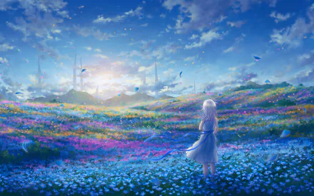 meadow Anime girl anime girl HD Desktop Wallpaper | Background Image