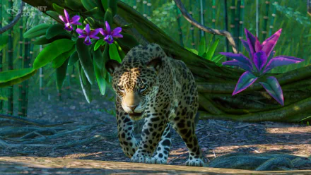 video game Planet Zoo HD Desktop Wallpaper | Background Image