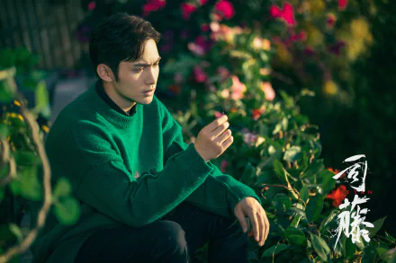 Qin Fang TV Show Rattan HD Desktop Wallpaper | Background Image