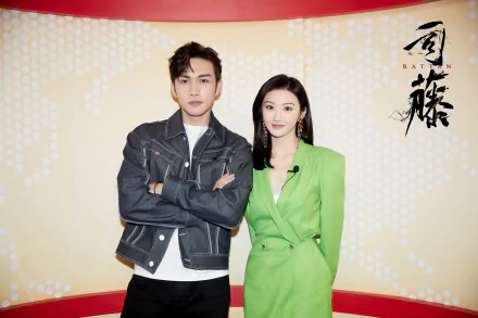 TV Show Rattan HD Desktop Wallpaper | Background Image