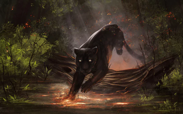 Animal black panther HD Desktop Wallpaper | Background Image