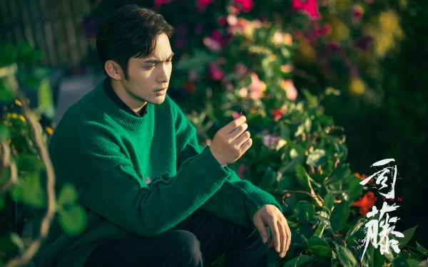 Qin Fang TV Show Rattan HD Desktop Wallpaper | Background Image