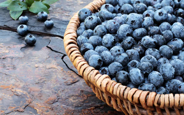  Basket full of blueberries