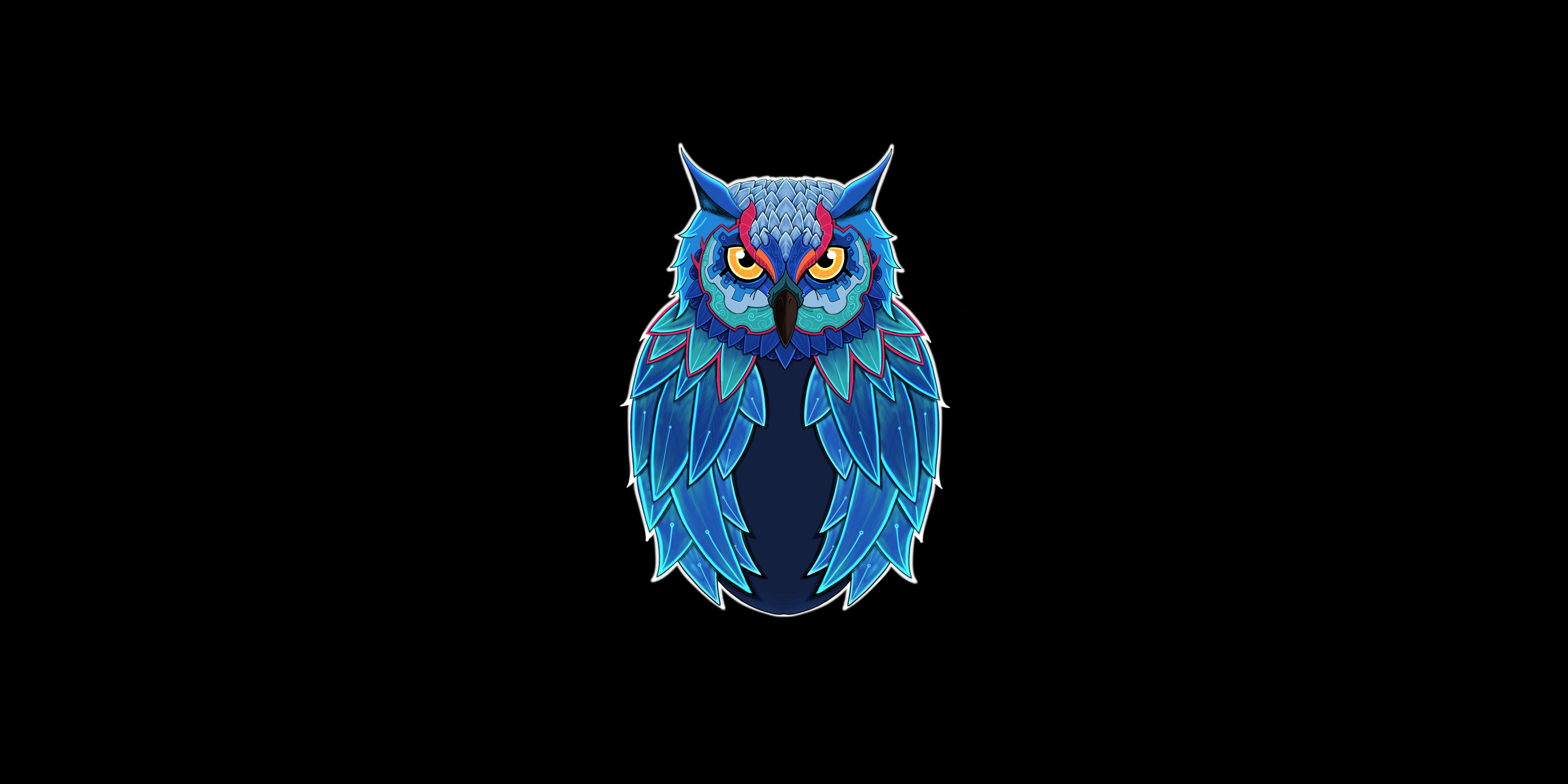 Owl 4k Ultra HD Wallpaper