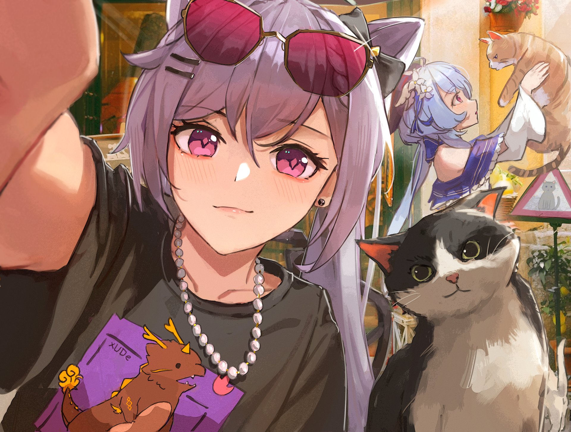 4K Ultra HD Genshin Impact wallpaper featuring characters Keqing and Ganyu with a black and white cat in a vibrant, detailed video game art style.