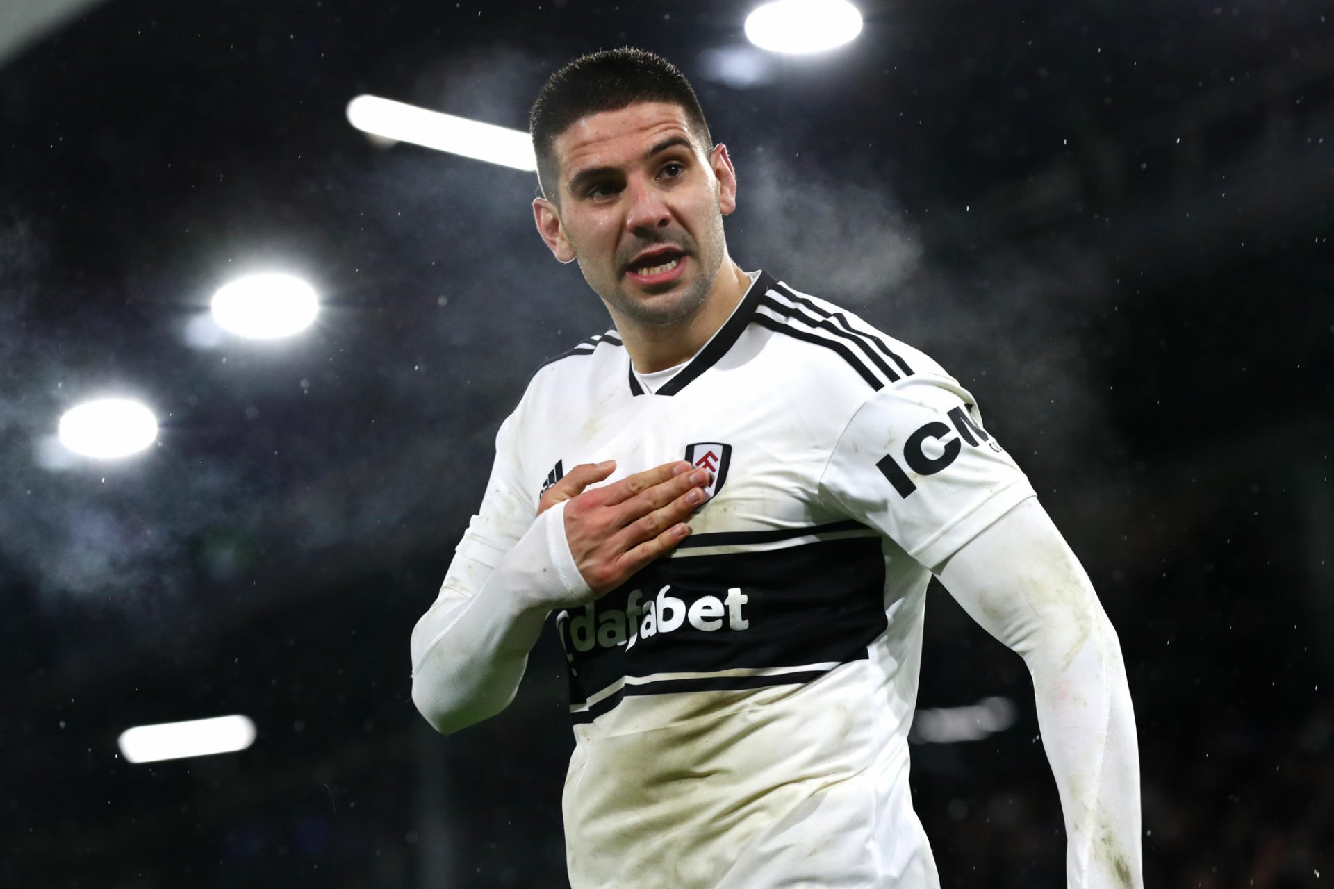 Download Fulham F.C. Aleksandar Mitrović Sports HD Wallpaper