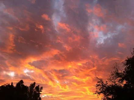 HD PC desktop wallpaper showing a vibrant sunset sky with glowing orange and purple clouds above silhouetted trees in a natural landscape.
