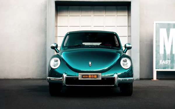 vehicle Ora Punk Cat HD Desktop Wallpaper | Background Image