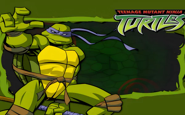  TMNT 2003 Donatello