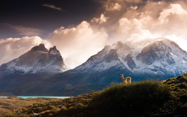  Cuernos Del Paine, Chile