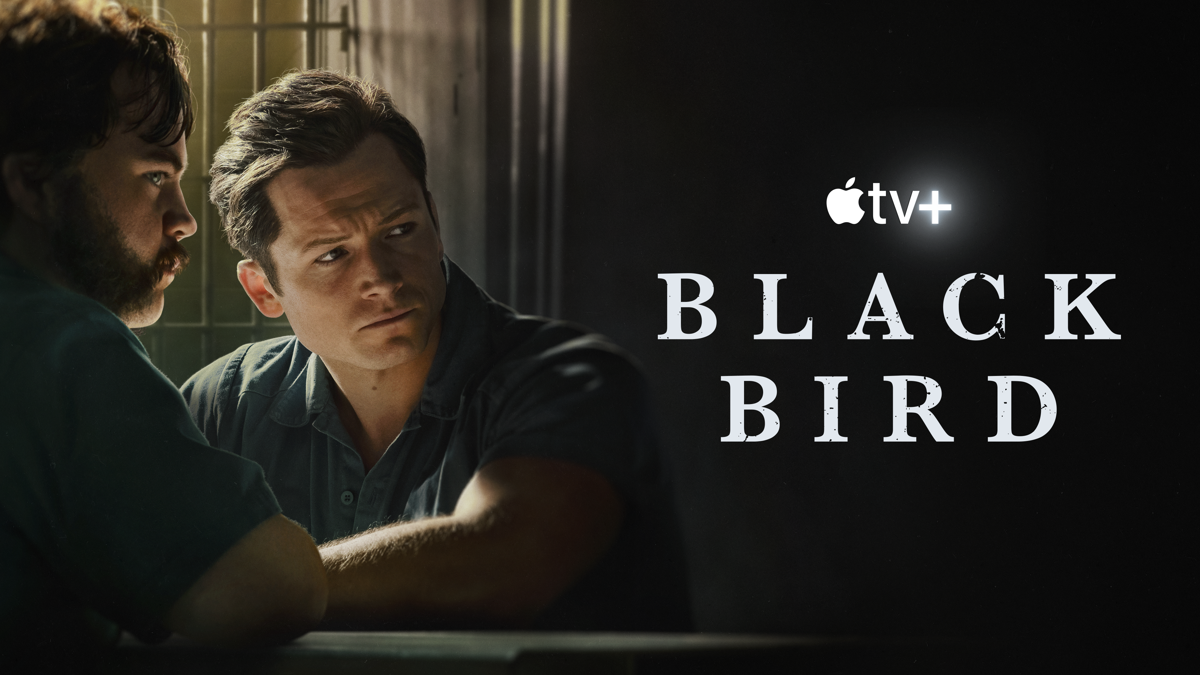 TV Show Black Bird HD Wallpaper | Background Image