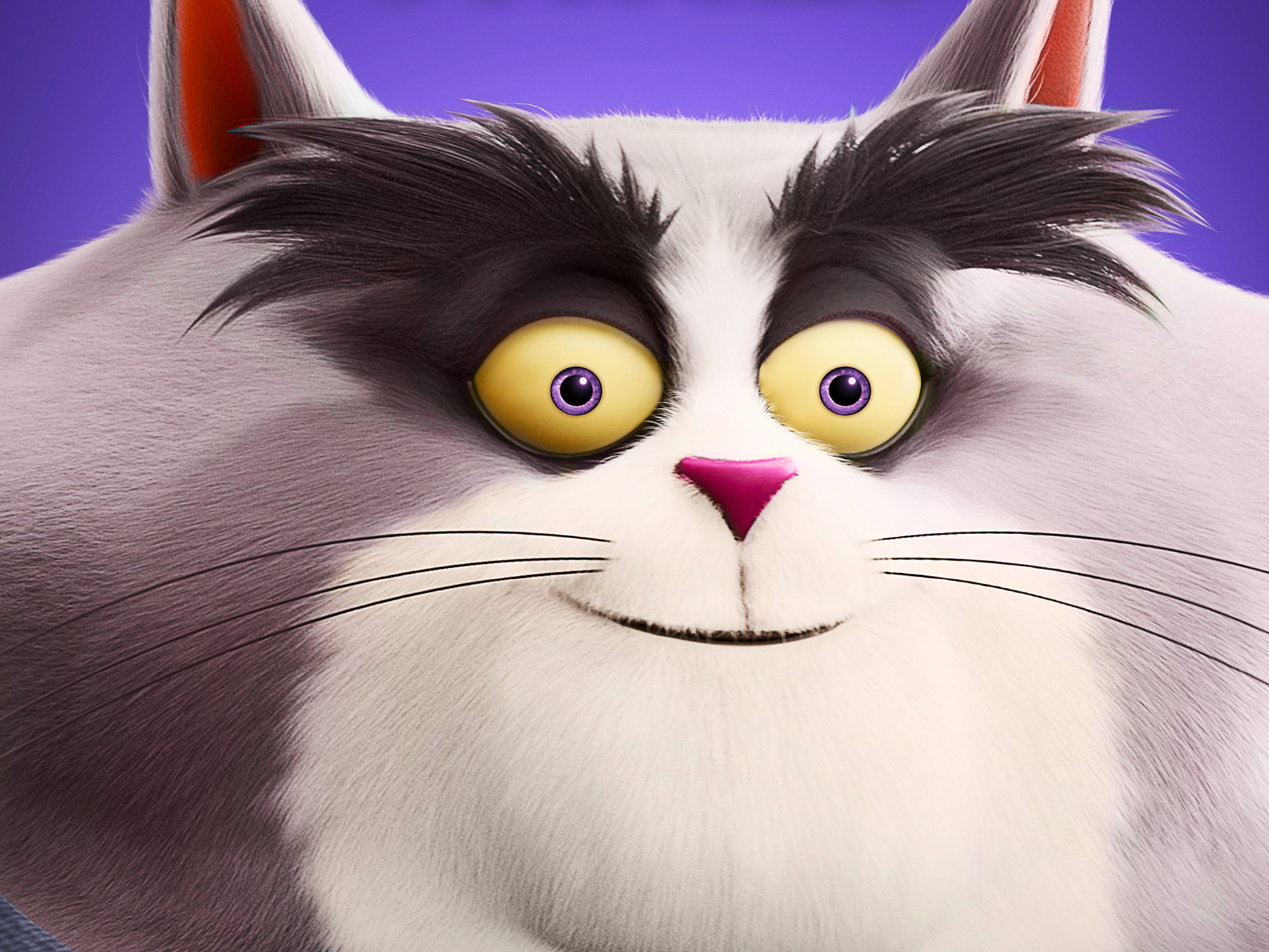 Download Movie Paws Of Fury: The Legend Of Hank HD Wallpaper