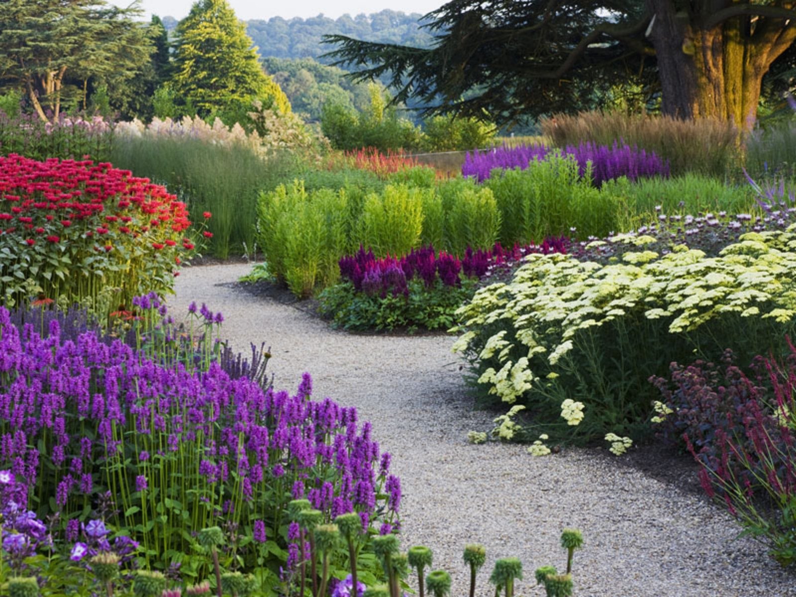 A vibrant garden pathway lined with colorful flowers, showcasing a blend of purple, red, and yellow blooms set against lush greenery, creating a serene and inviting atmosphere.