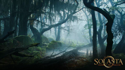 video game Solasta: Crown of the Magister HD Desktop Wallpaper | Background Image